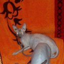 ���� ������, ���-�����, 48 ��� - ��������� 11 ������ 2014 � ������ ������ ��������