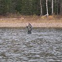 ���� ������, ����������, 55 ��� - ��������� 5 ������� 2014 � ������ ���� ����������