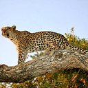 ���� ��������, �������, 89 ��� - ��������� 2 ������ 2014 � ������ ��������� � �������������