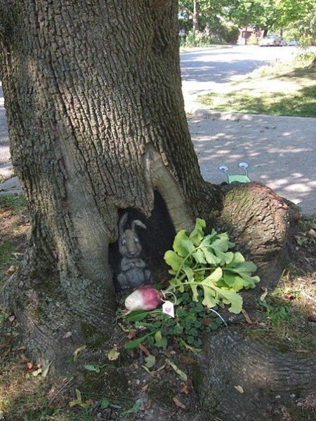    David Zinn - 9