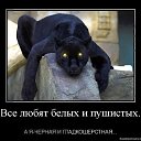 ���� �������, ������� - ��������� 6 ��� 2014 � ������ ������ ��������