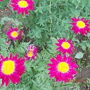  ,  -  26  2014     .