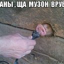 ���� �����, �����, 46 ��� - ��������� 11 ���� 2014 � ������ ������ ��������