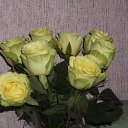 ���� �����, �����������, 54 ���� - ��������� 9 ���� 2014 � ������ ���� ����������