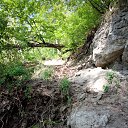 � ���� �������� ������� �����������. �� ������� �������� �������