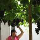 ���� ����, ����� - ��������� 7 ���� 2014 � ������ ���� ����������