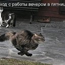  , , 61  -  9  2014      )))