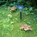 ���� ����������, ������ - ��������� 28 ������ 2014 � ������ �������������