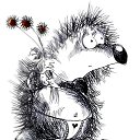 ���� Nik, ���������, 46 ��� - ��������� 31 ���� 2014 � ������ ������ ��������