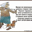 ���� ��������, ��������, 54 ���� - ��������� 4 ���� 2014 � ������ ������ ��������
