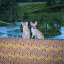 �������� �� ������� ���� ����������