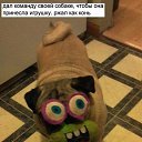 ���� ������, ��������, 54 ���� - ��������� 26 ���� 2014 � ������ ���� ����������