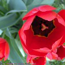 ���� ������� ,���� �����, ����� - ��������� 12 ��� 2014 � ������ �����