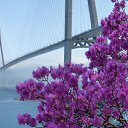 ���� �����, �����������, 51 ��� - ��������� 2 ���� 2014