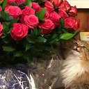 ���� �����, �����-���������, 52 ���� - ��������� 27 ����� 2014 � ������ ��� 26.03.2014�