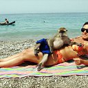 ���� �����, ������, 46 ��� - ��������� 5 ������� 2014 � ������ ������ ��������