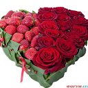 ���� ������� - �� ��������, ������ ����� - ��������� 14 ������� 2014 � ������ �������� ��������