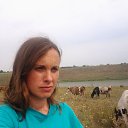 ���� �����, ����, 42 ���� - ��������� 13 ������� 2014