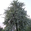 ���� �����, ������, 44 ���� - ��������� 2 ���� 2014 � ������ ������������ ����� � ��������� ����������