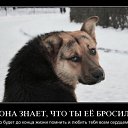 ���� ���� ������, ����������� - ��������� 10 ������ 2014 � ������ ������ ��������