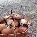 ���� �����, ������������ - ��������� 30 ���� 2014 � ������ ���� ����������