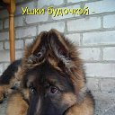 ���� ����, ������ - ��������� 10 ������ 2014 � ������ ���� ����������