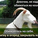 ���� ������, ��������, 61 ��� - ��������� 15 ������� 2014 � ������ ������ ��������