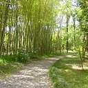 ������� �� ������� ������ ���������ӻ