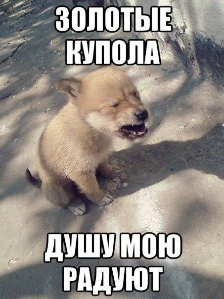   - 9  2014  01:03
