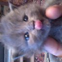 ���� ���������, ����� - ��������� 26 ��� 2014 � ������ �������