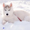 ���� ����, �����, 39 ��� - ��������� 18 ������� 2014 � ������ ������ ��������