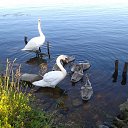 ���� �����, ����, 69 ��� - ��������� 12 ��� 2014 � ������ ���� ����������