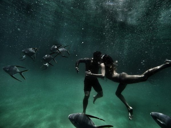 ������ ������ GoPro 2014. 10 ������������� ������ �� ��������� ���������� ���� � ������ �����... ��� ... - 10