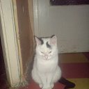 ���� Vasia, �����-��������� - ��������� 24 ���� 2014 � ������ ���� ����������