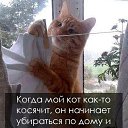 ���� ������, ���������, 63 ���� - ��������� 12 ������ 2014 � ������ ���� ����������