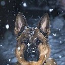 ���� ������, ������ - ��������� 11 ���� 2014 � ������ ������ ��������