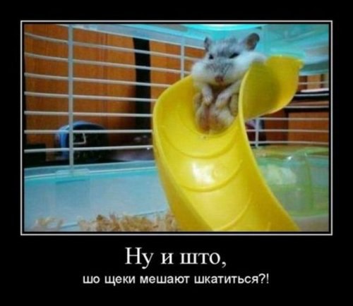 YaHOO - 6  2014  07:14