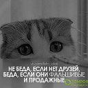 ���� Nikki, ����, 43 ���� - ��������� 24 ������ 2014 � ������ ���� ����������