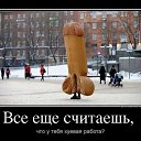 ���� �����, ����, 36 ��� - ��������� 22 ���� 2014 � ������ ������ ��������