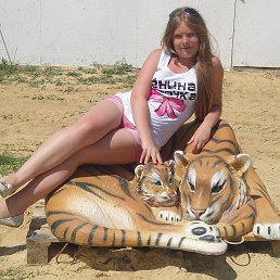 ���� �����, �����, 24 ���� - ��������� 31 ���� 2014