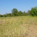 ���� ������, �������, 33 ���� - ��������� 25 ��� 2014 � ������ ������ ��������