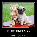 ���� ����, �������, 63 ���� - ��������� 10 ������� 2014 � ������ ������ ��������