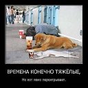 ���� ���������, ������ - ��������� 15 ��� 2014 � ������ ����� �� �������