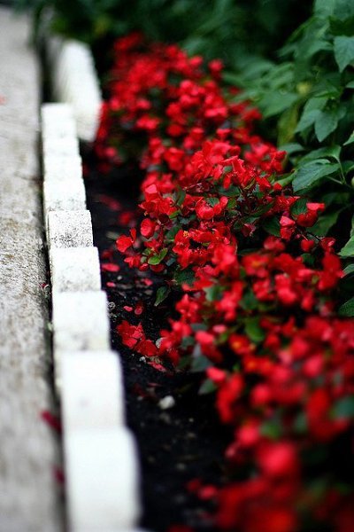 Не делай больно никому, Не заставляй людей страдать. Пошлет спасенье Бог тому, Кто сможет все душой ... - 8