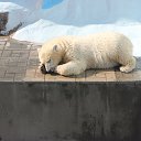 ���� �������, ���������� - ��������� 31 ���� 2014 � ������ �������������� ������� 23.07.2014�