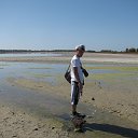 ���� �����, ����������, 38 ��� - ��������� 12 ������� 2014 � ������ �߻