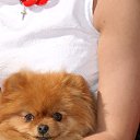 ���� ��������, ���, 42 ���� - ��������� 21 ��� 2014 � ������ ���� ����������