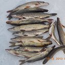 ���� ������, ��������, 48 ��� - ��������� 6 ���� 2014 � ������ ������