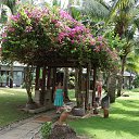 �������, ������� �� ������� ���� ����������