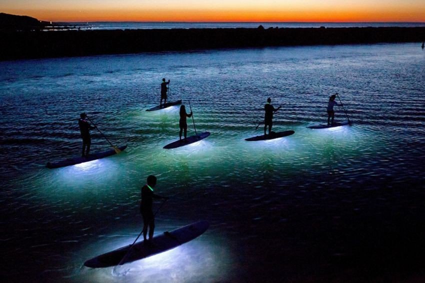   National Geographic 2013. ( 2) - 4